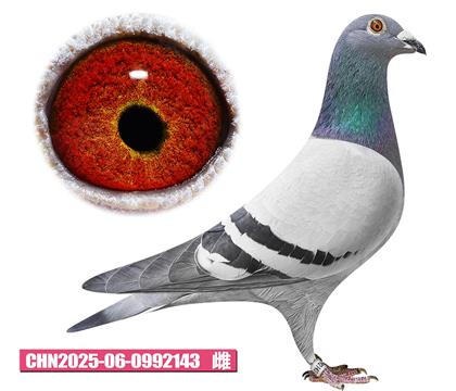 ������-����·���143