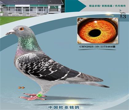 ����ԭ��220X����ƥ��03����608