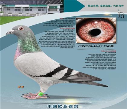 �Ǳ�ԭ�ả����082X�ʼһ�ֱŮ366