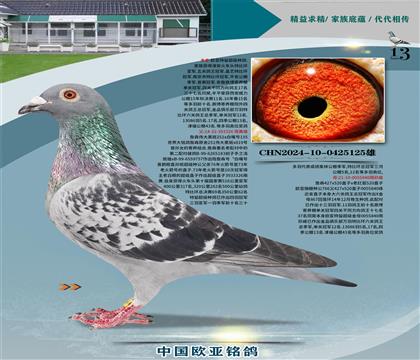 ղɭ251ֱ��326Xղɭ766ֱŮ840