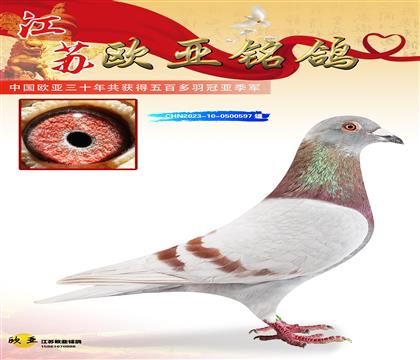 �������Ĺظ���ʮ��293X̩ɽ988