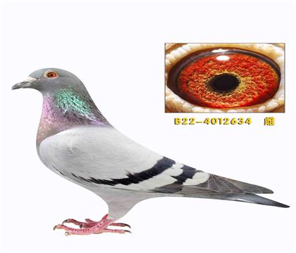 ��������ū��ʦ����ֱŮ634