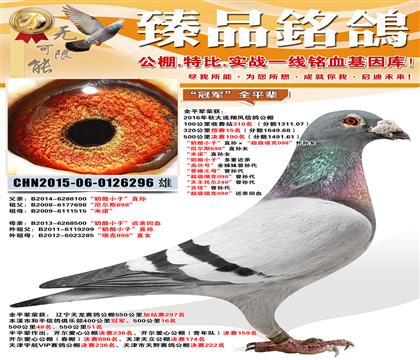 �����˹698��ֱ��ƽ���ٻ� 400����ھ�������Ԥ��15