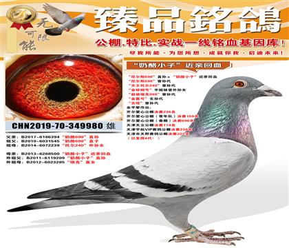 �����˹698�������ȫƽ�������������������236��