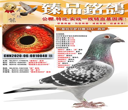 ����ۺ�69�������ض���ֱ������ֱ�� �����ض�������38