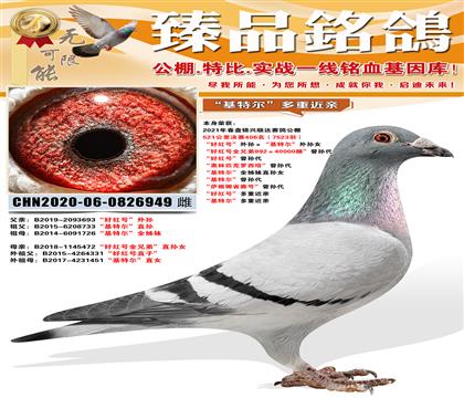 �̽���˳�����406�����ú�š�����������ض�������Ů ����