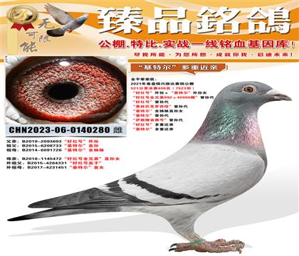 ���ú�š�����������ض�������Ů ���ú��ȫ�ֵ�992������