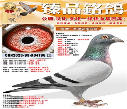 ƽ�������ݻԻ�Ԥ��118����³�ϡ�����ֱ������Ͽ�����¡�ֱ