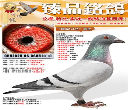 ��������鳲���ܽ�ͷ�����������58����ֱŮ ����54��