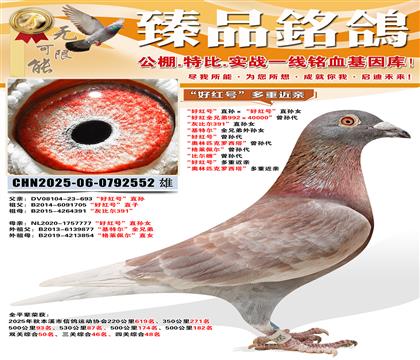 ȫƽ�����Ĺ��ۺ�48�������ú�š�ֱ������ú�š�ֱ��Ů ��