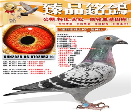 ȫƽ��520����35����ī�ƶ��ɡ��������������ƥ��쫷�š�