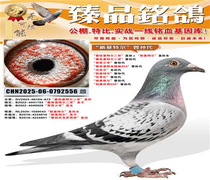 ����ѻ��ض�������ֱ������»��ض���ֱ��Ů ����ѻ��ض�����