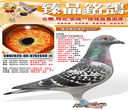 514����194����3395�𣩡�����ƥ��쫷�š����������