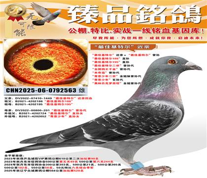 ����ѻ��ض������ס�����ѻ��ض������� ����ѻ��ض�186��