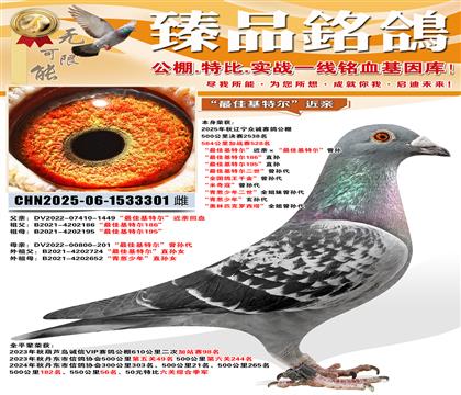 �ڳϼ�ս��528�������ߣ�����ѻ��ض������ס�����ѻ��ض���