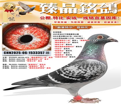 �������蹫��鳲����ѻ��ض�������ֱ������»��ض���ֱ��Ů