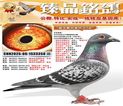 �������蹫��鳲������ƥ��쫷�š��������������ꡱ����Ů