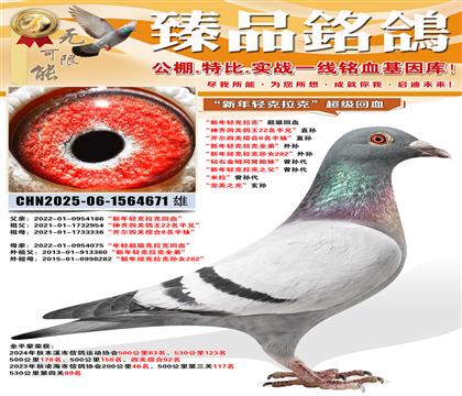 ������������ˡ���Ѫ�������ᳬ�������ˡ���Ѫ �������Ĺظ���