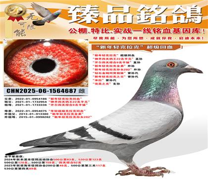 ������������ˡ���Ѫ�������ᳬ�������ˡ���Ѫ �������Ĺظ���