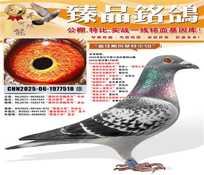 Ӫ��������ս��351��������ƥ��쫷�š��������������ꡱ��