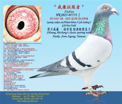 ��Ŭ��������/�������ϲ���X�w���W�X�w�Ȼ��M�à�