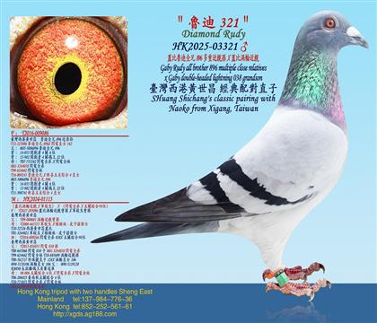 �w������ȫ��896���ؽ��H�OX�w�Ȝu݆���H