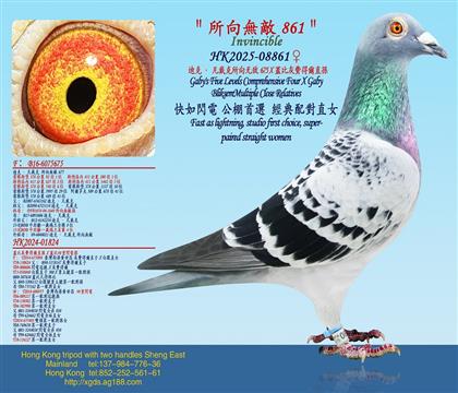 ����o��675���Ͽˡ�������X�w�Ȼ��M�à�ֱ�O