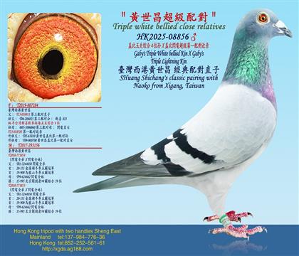 �Ǳ�����ۺ�4λ��X�Ǳ��W늳�����һ�䌦����