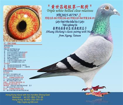 �S����������һ��/���W�ȫ��X�W�ȫ��