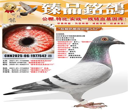 �������Ź���鳲������鵽�ķ120��ֱ�ӡ�����ʱ��911����