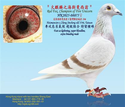 ������˹������X�_���������3546