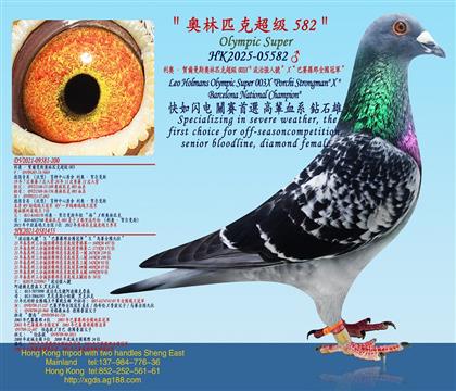 ���W���R����˹�W��ƥ�˳���003X�����Ώ���̖��X����ِ�_��