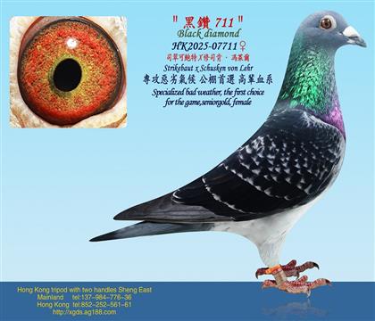 ˾��ɱ���X��˾�ϡ��T�R��