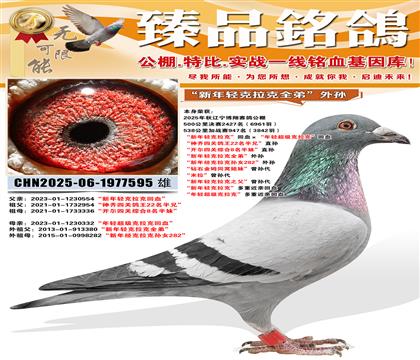 �������蹫��鳲������������ˡ���Ѫ�������ᳬ�������ˡ���Ѫ