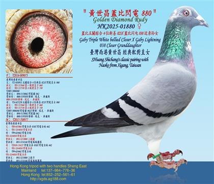 �w�����P�C��4λ����823X�w���W�038������Ů