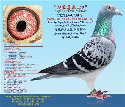 ����ղɭ��019�����ؽ��HX ��������ղɭXղɭ���˹X ղ