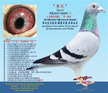 �����x�ϵҠ��͡���һ�CѪ��