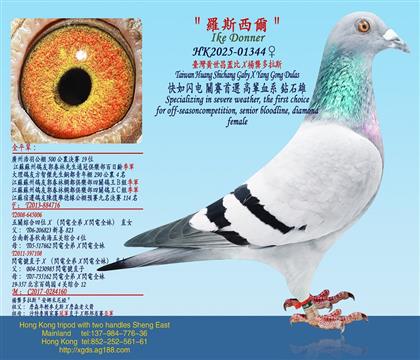 �_���S�����w��X��������˹