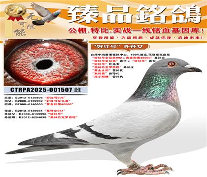 ̨���к����¾������ġ��ú��ȫ�ֵܡ�ֱ�ӡ����ú�š�ֱŮ