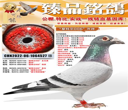 �����ض�006��ȫ�ֵܡ������ض�006��ֱŮ ���ú�ȫ�ֵ�9