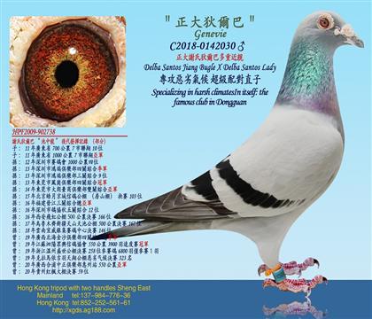 �߱��Ϲ���/�����x�ϵҠ��Ͷ��ؽ��H