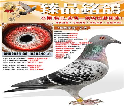 ������ƥ��ȸӥ���ֵܡ�������������ֱŮ�� ������������������