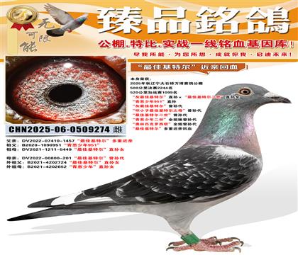 �����빫��鳲������ѻ��ض���ֱ�������ѻ��ض�������ֱ��