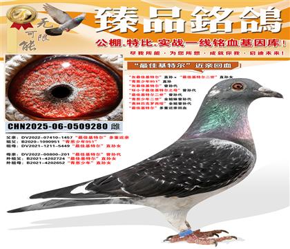 ������ѻ��ض���ֱ�������ѻ��ض�������ֱ��Ů ���������9