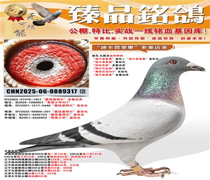 �Ͽ�.�����˽��ָ롰�Ͽ�����¡�ֱ������Ͽ�����¡�ֱ��Ů