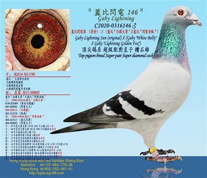 �w���W늌O��ԭ�ᣩX���w�ȣ��׸�����X�w�ȣ��W늽������;