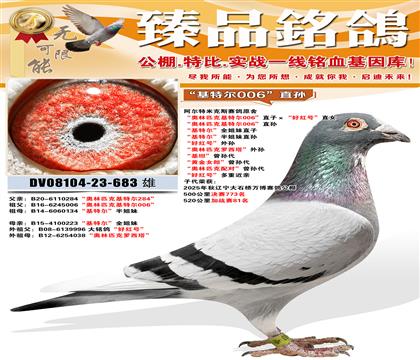 �������׿�˹����ԭ�� ������ƥ�˻��ض�006��ֱ�ӡ����ú��