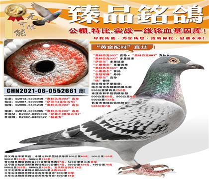 ������ƥ��03��ֱ���������ƥ��03��ֱ��Ů ������ƥ��00