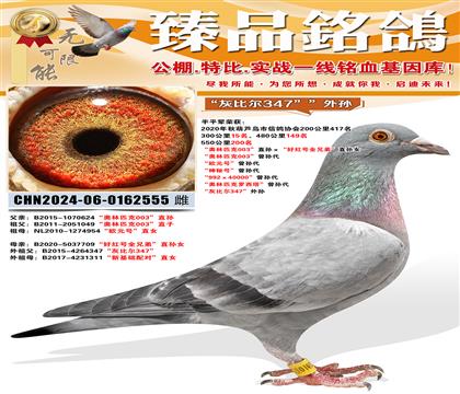 ������ƥ��003��ֱ������ú��ȫ�ֵܡ�ֱ��Ů ������ƥ��0