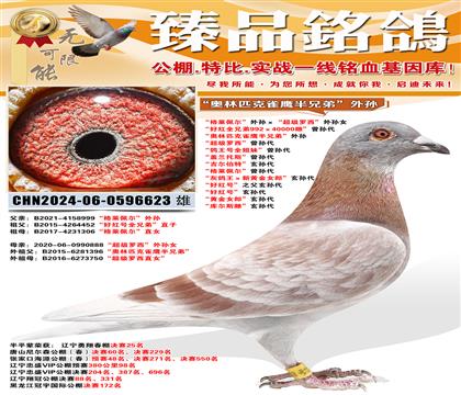 ��������������������������������Ů ���ú�ȫ�ֵ�992��4